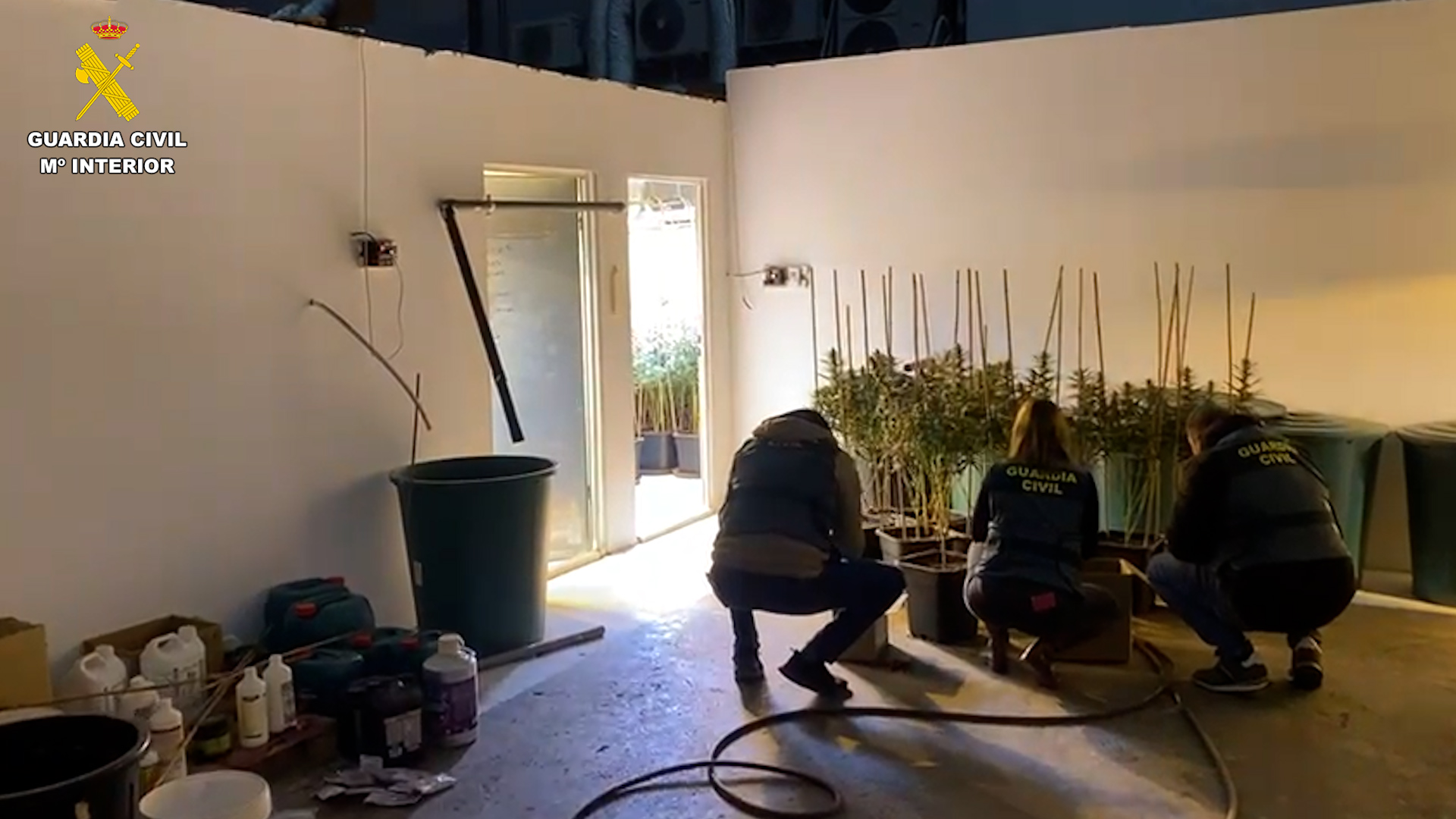 op boan valencia editada 02