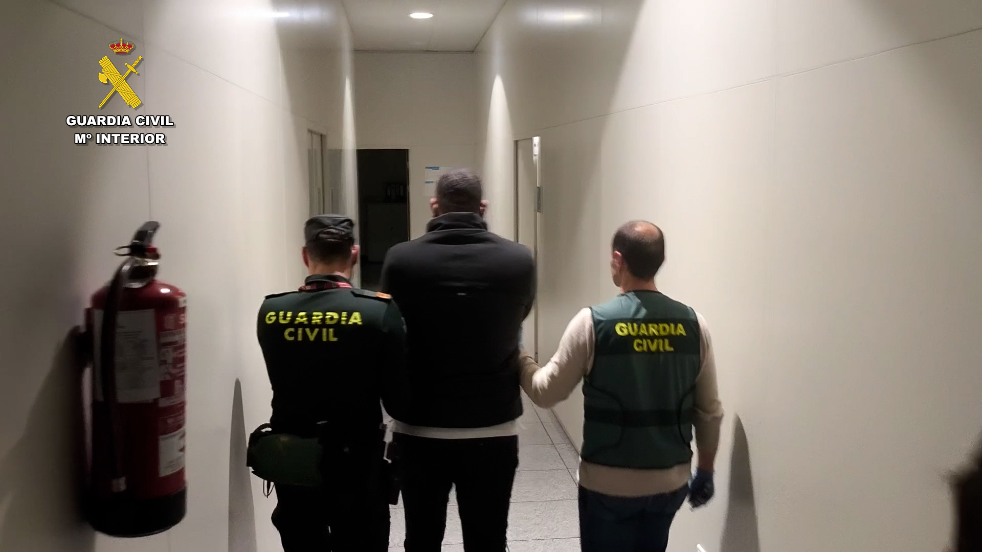 op cocarush alicante foto6