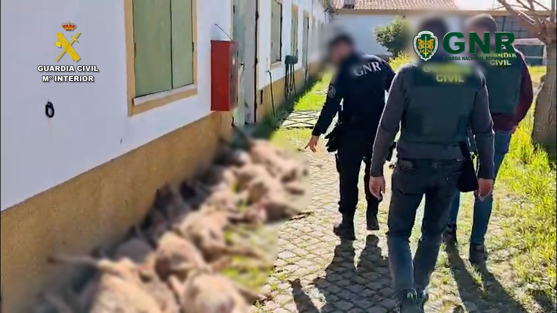 op envernizo badajoz foto3