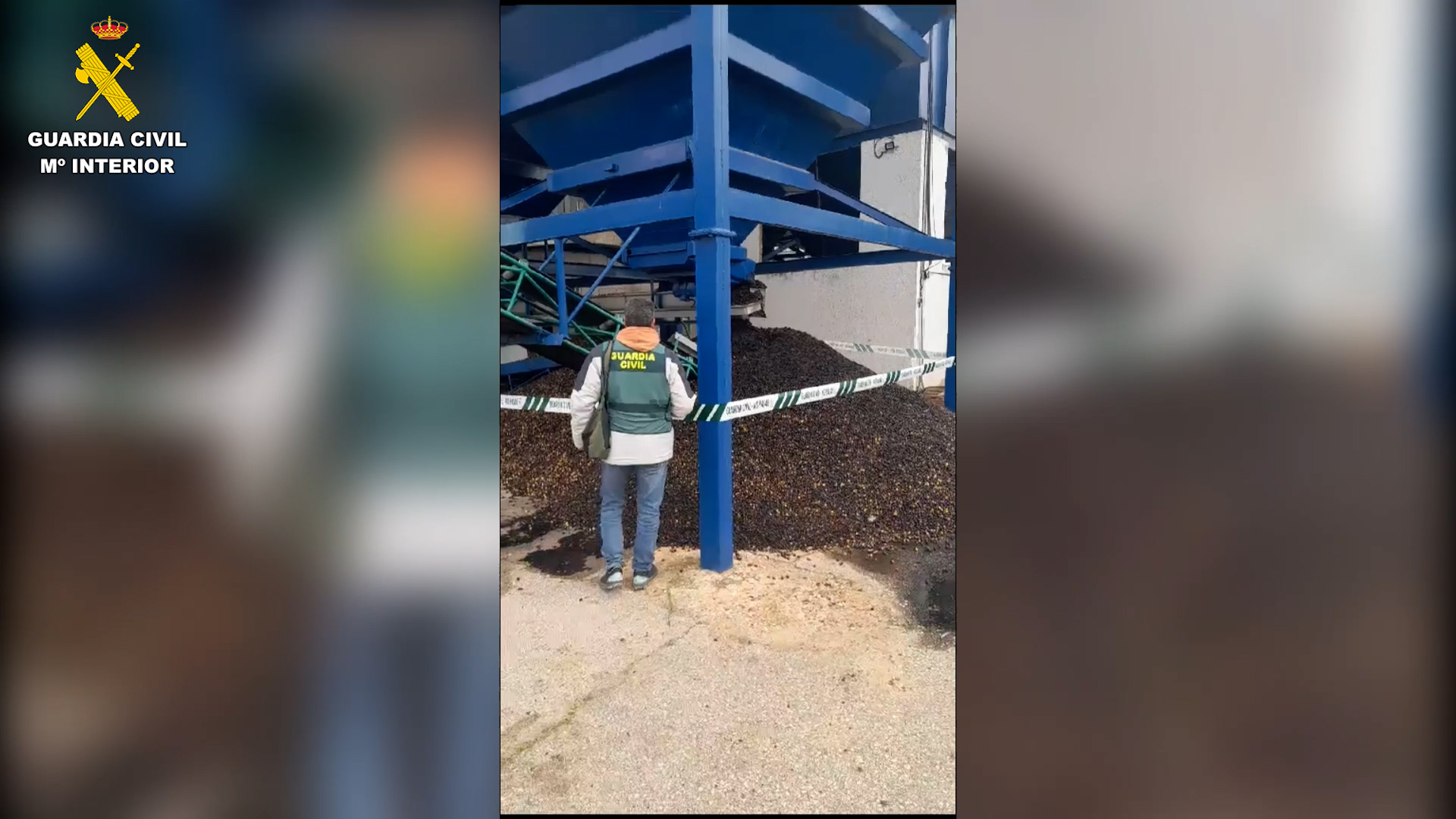 op molino sevilla editada 01