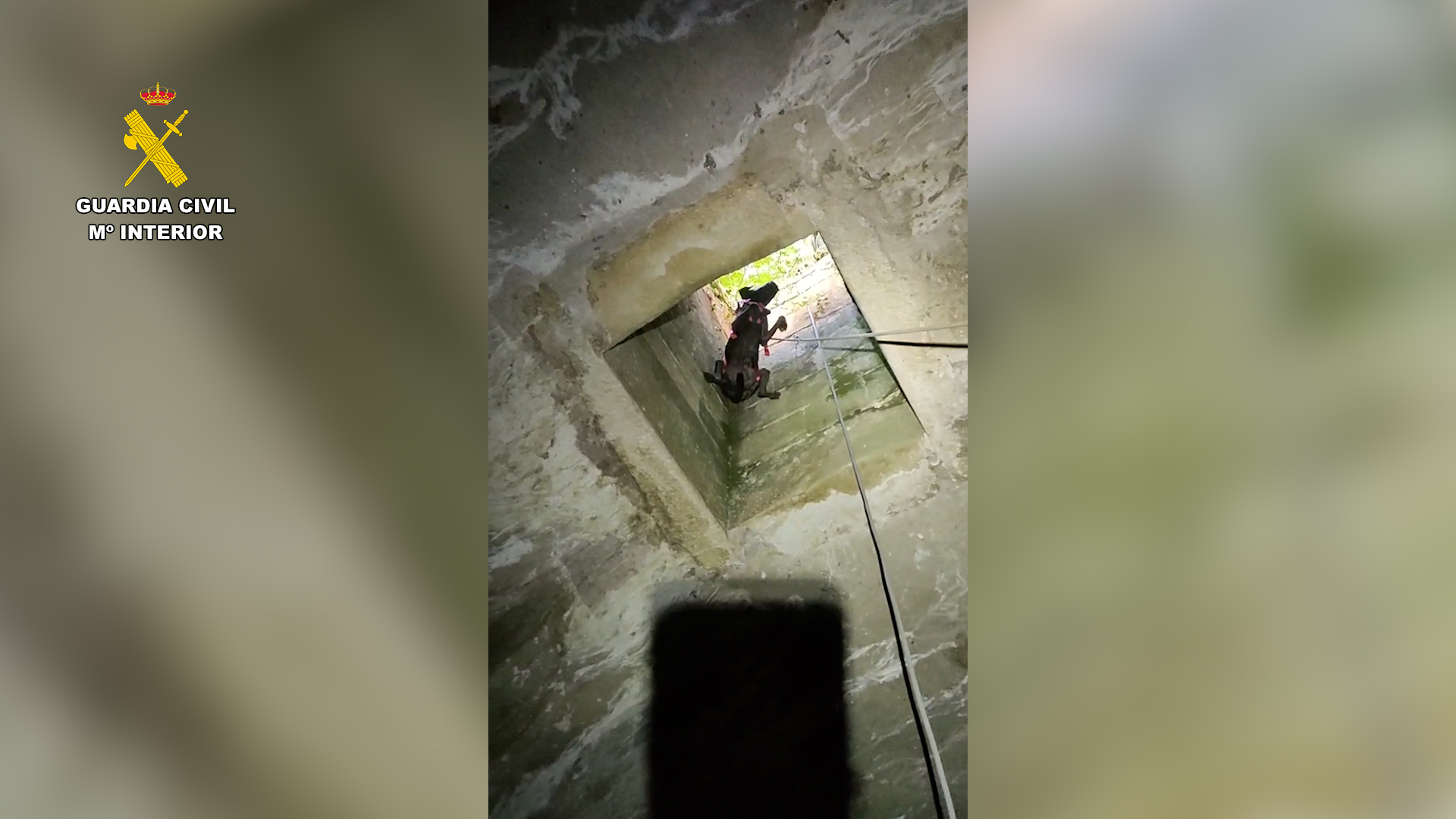 op rescate perro teruel editada.00 00 40 06.Imagen fija004