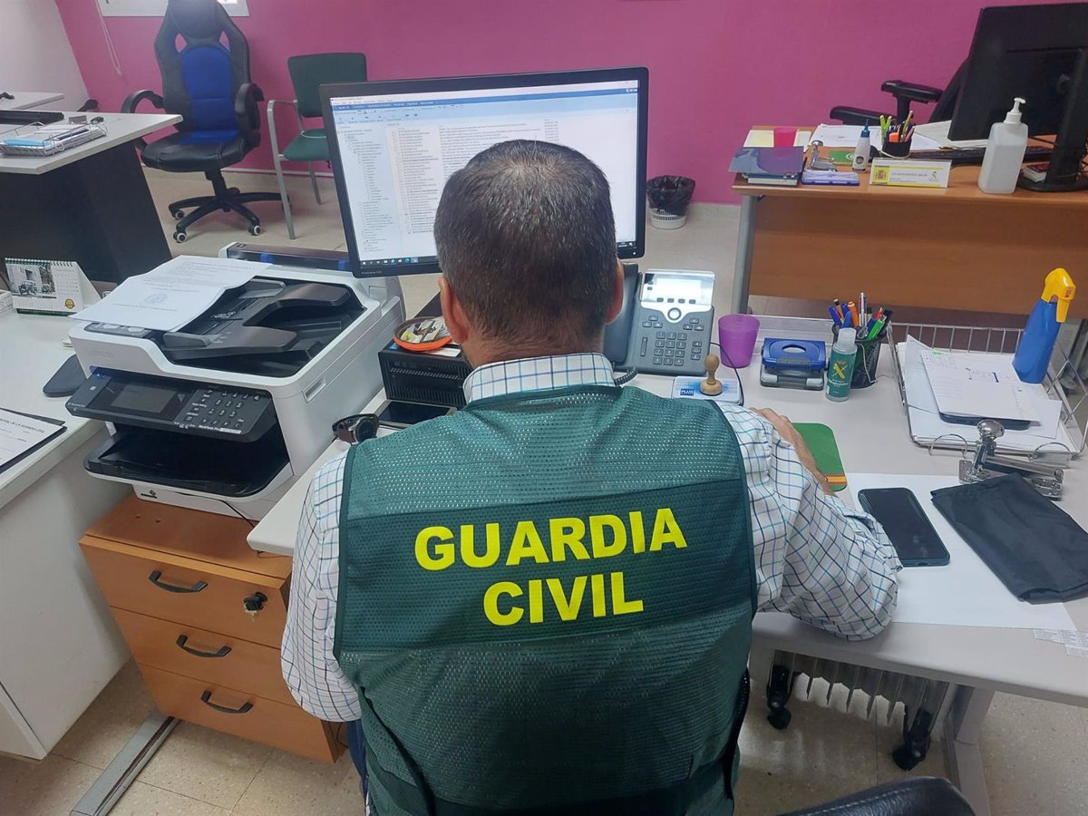 ordenador delito telematico