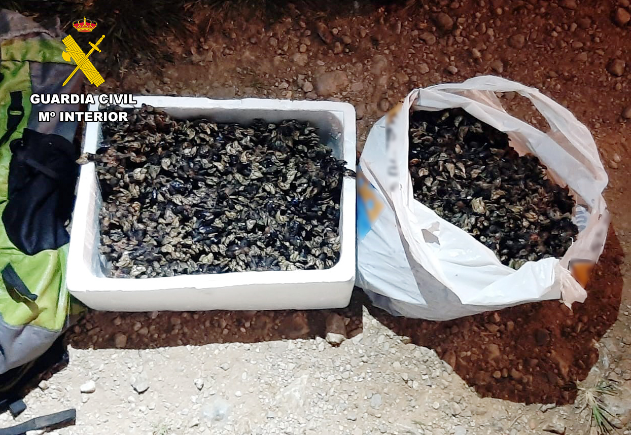 percebes alfoz