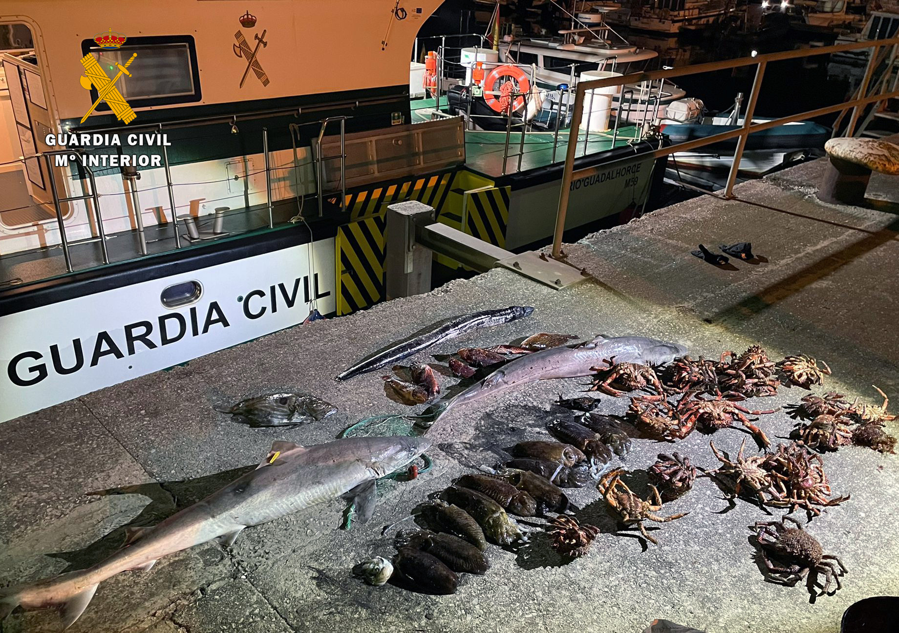 pesca intervenida redes