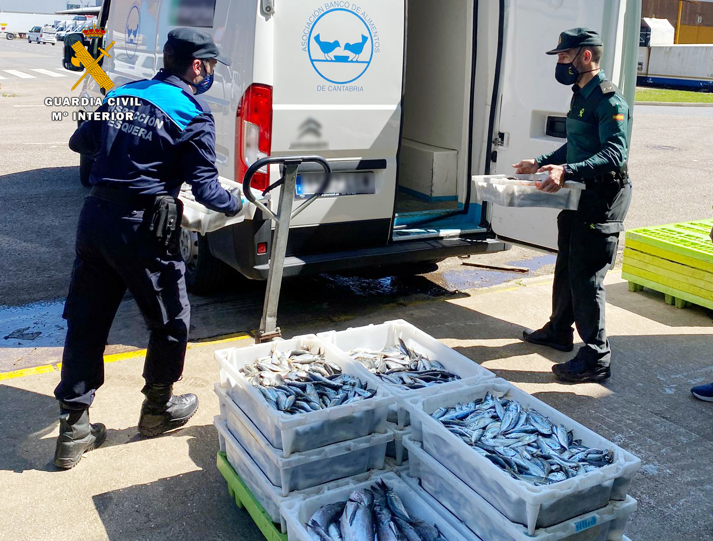 pesca intervenidajpg