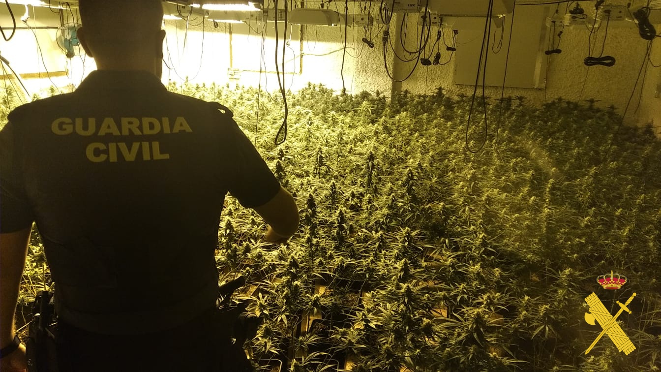 photo4 plantacion almeria