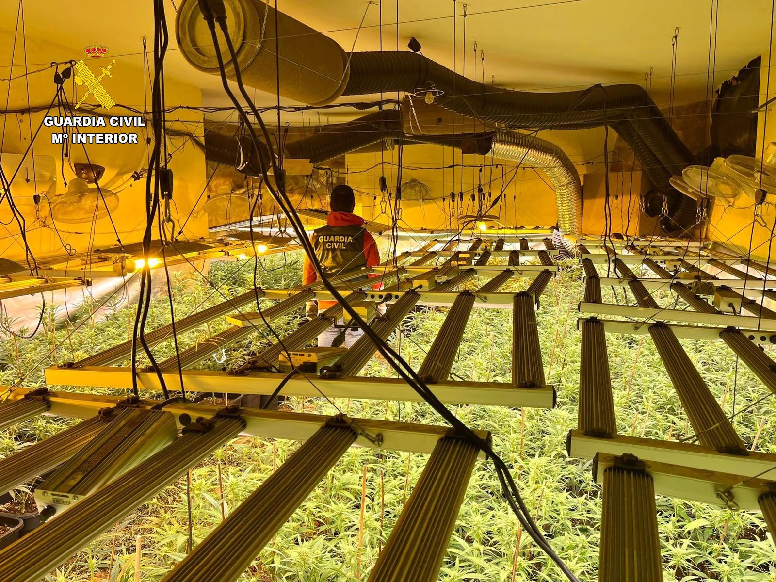 plantacion granada