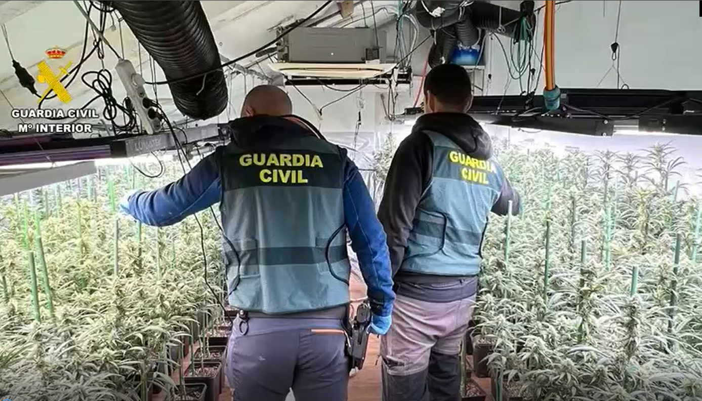 plantacion indoor madrid