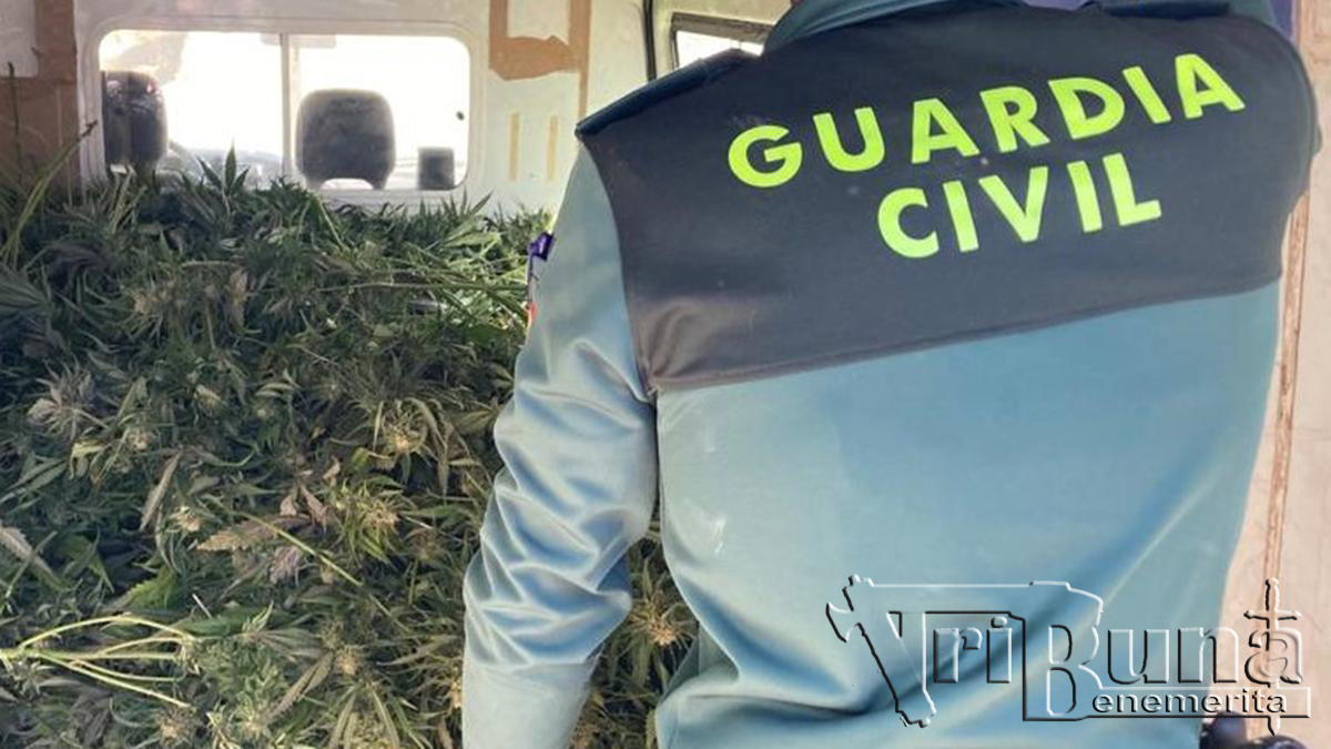 plantacion marca agua recurso guardia civil