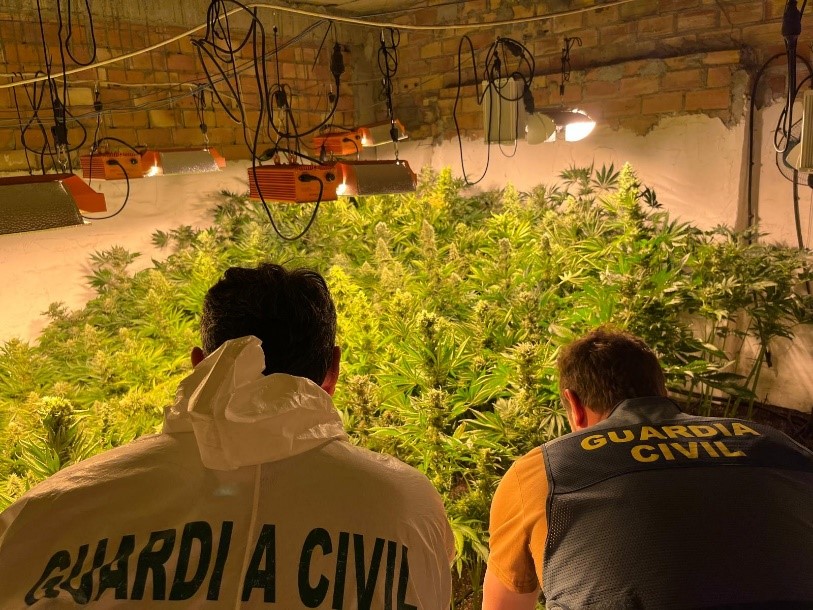 plantacion granada