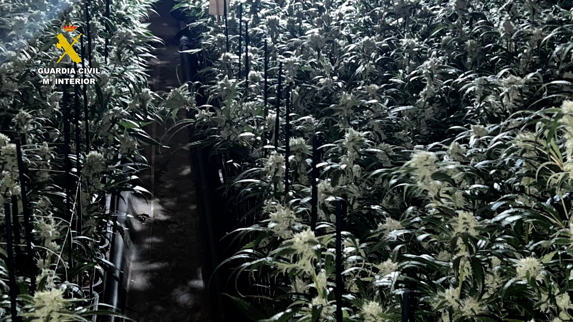 plantacion villamartin cadiz editada foto 04