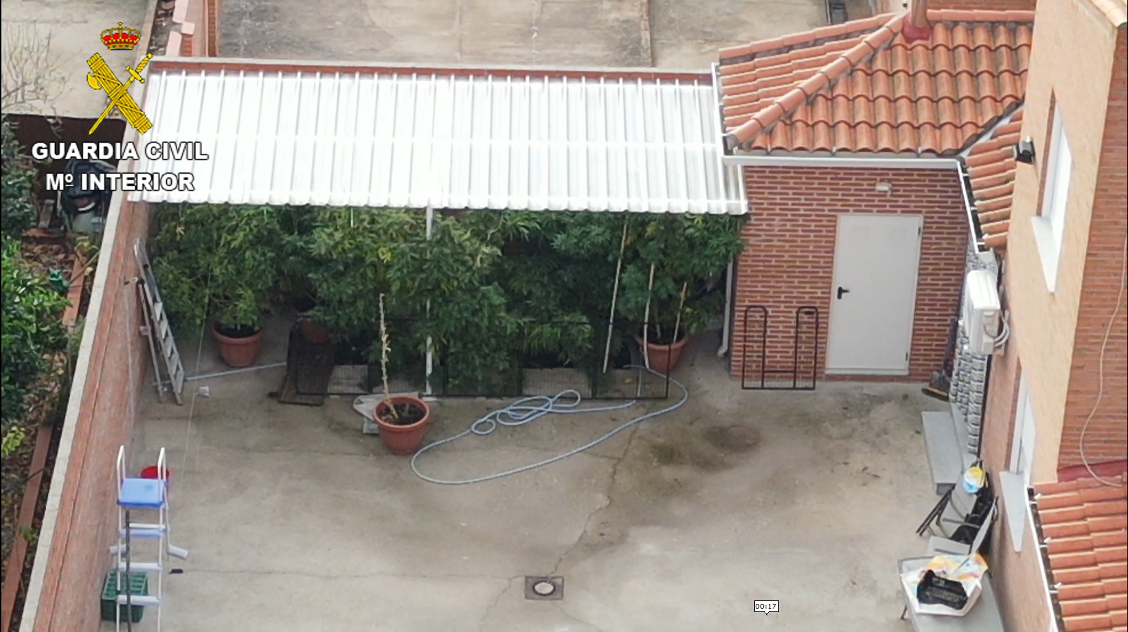 plantasEDIT