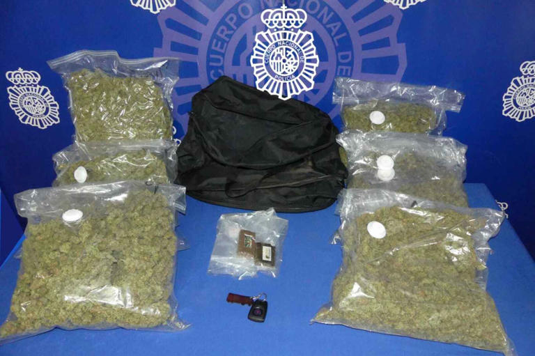 policia nacional alijo