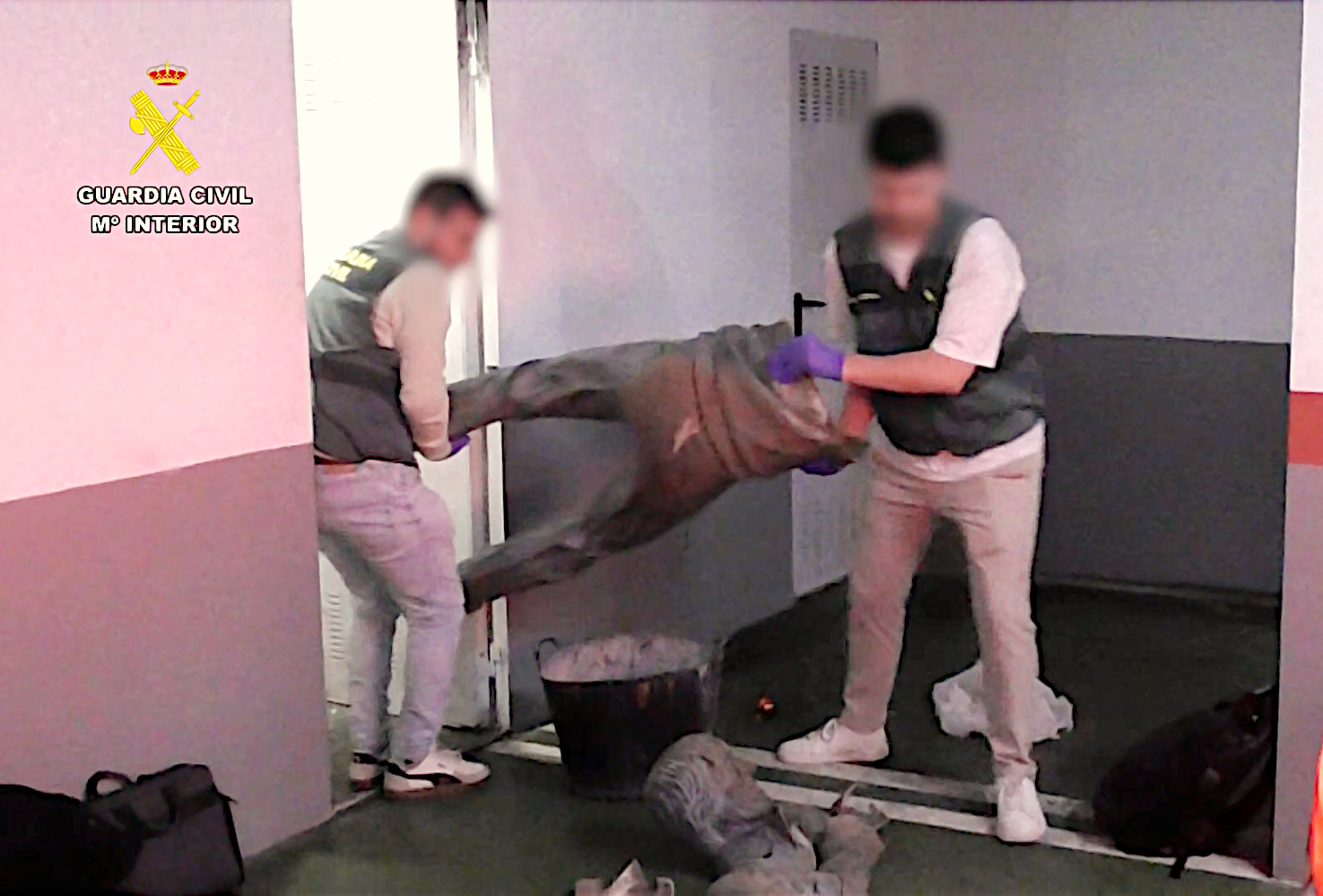 recuperacion estatua 1