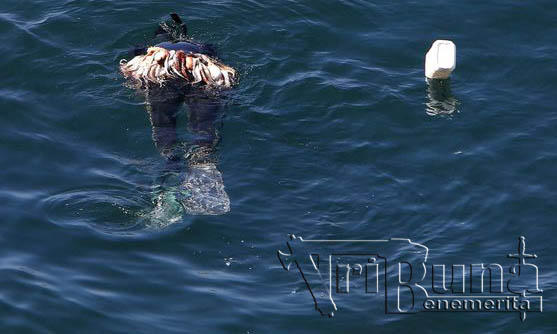 recurso pesca submarinismo marca agua