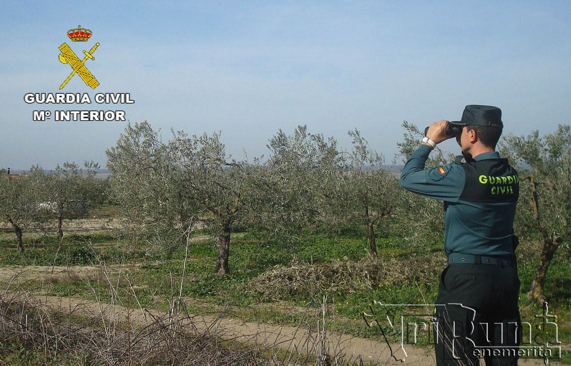 recurso roca guardia civil marca agua