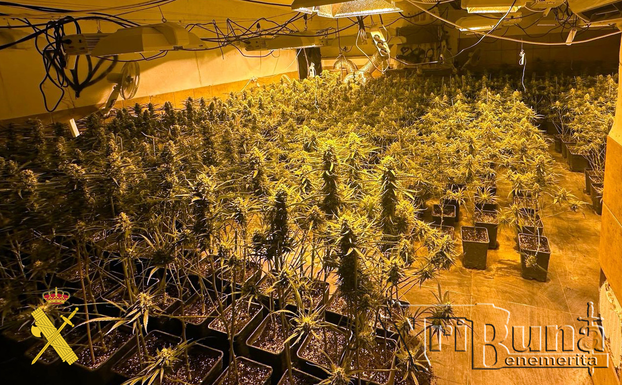recurso plantacion marca de agua