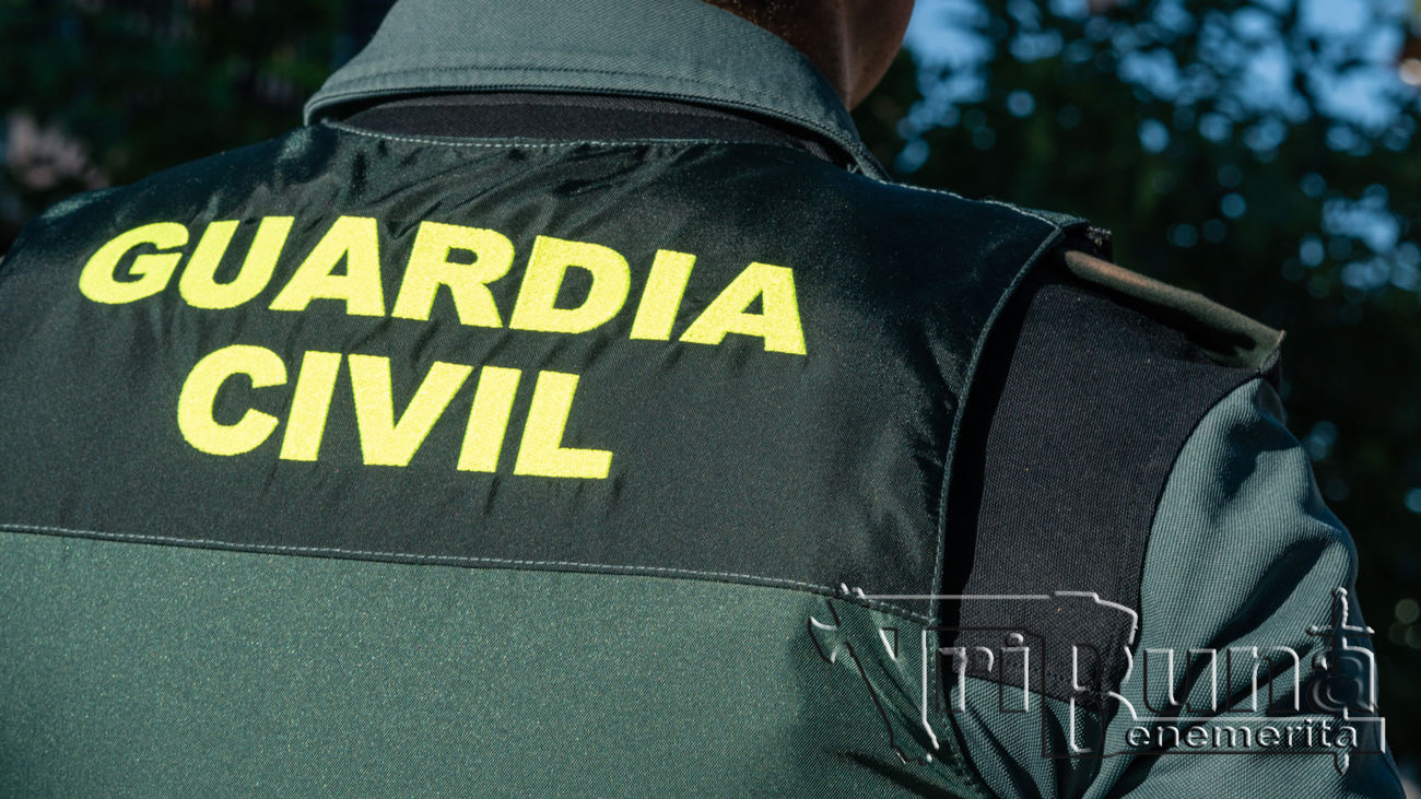 recurso seguridad ciudadana marca de agua