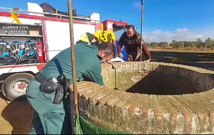 rescate perro 2
