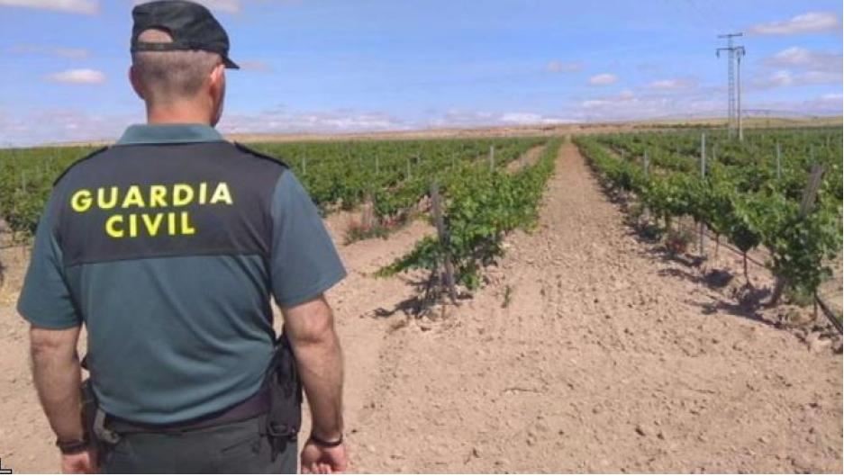 ribera del duero