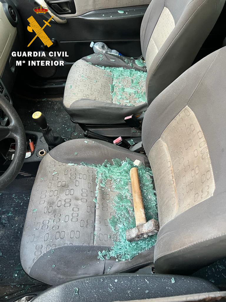 robo interior de vehículo copia