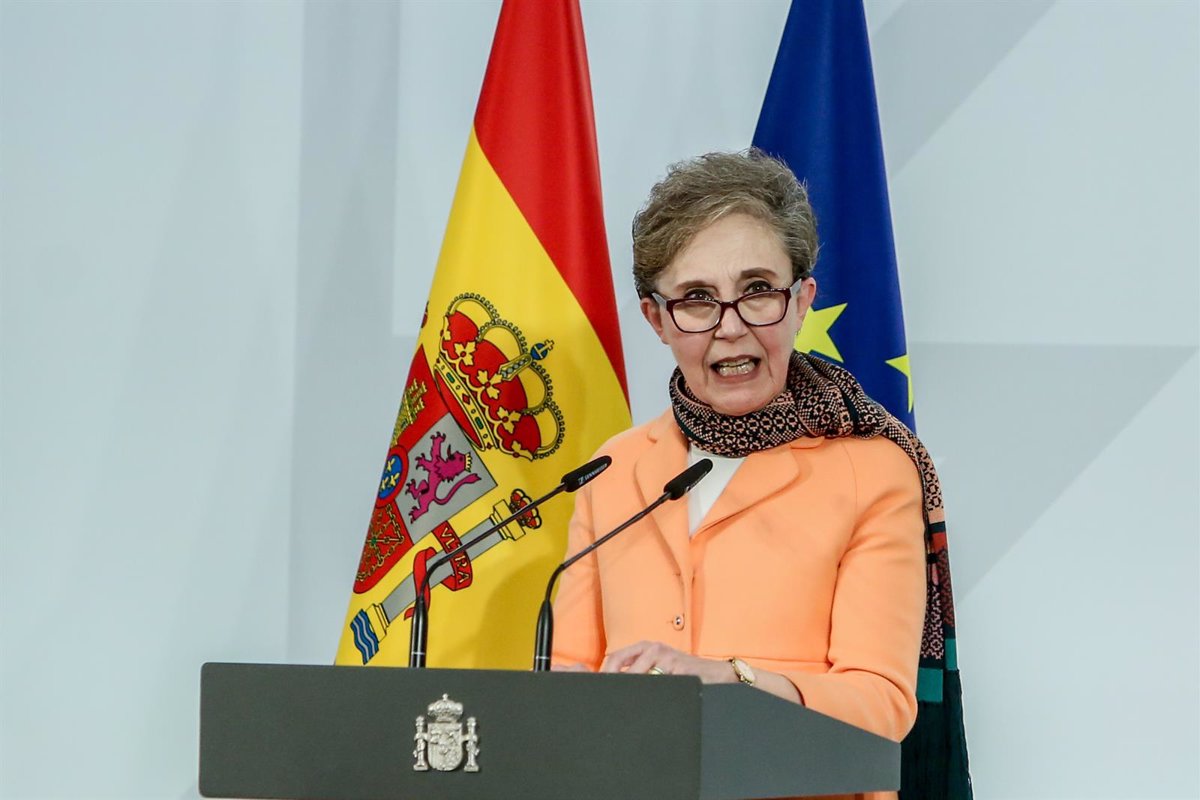 sdesstitucion directora cni
