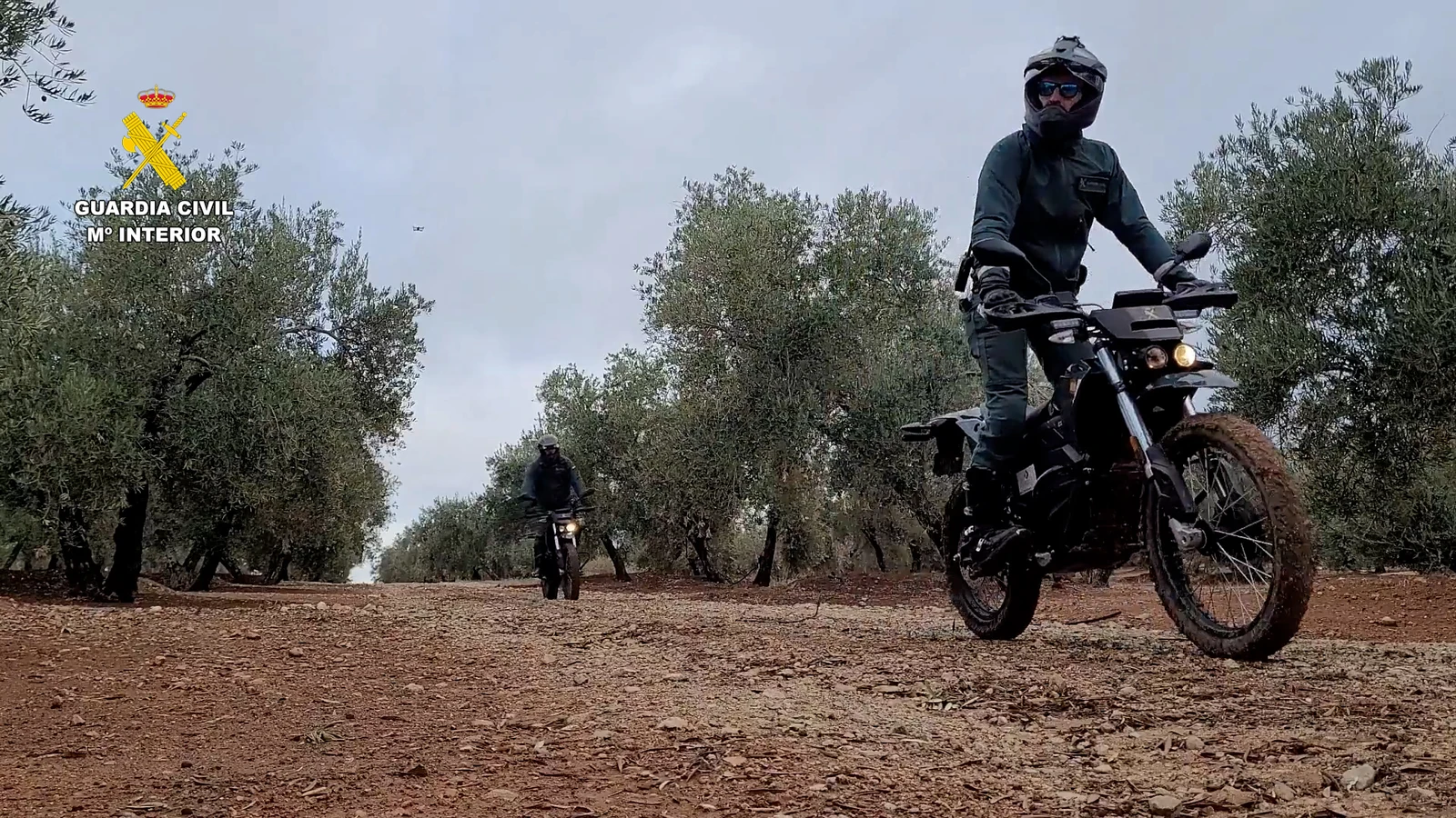 seprona guardia civil dispositivo robos aceituna