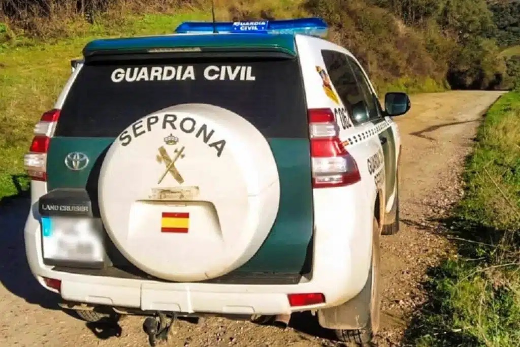 seprona recurso guardia civil 083125