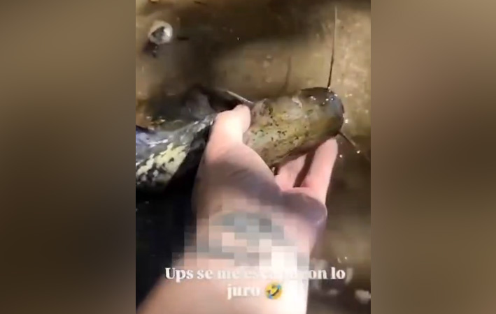 seprona suelta especies invasoras rio