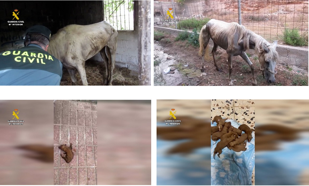 seprona almeria