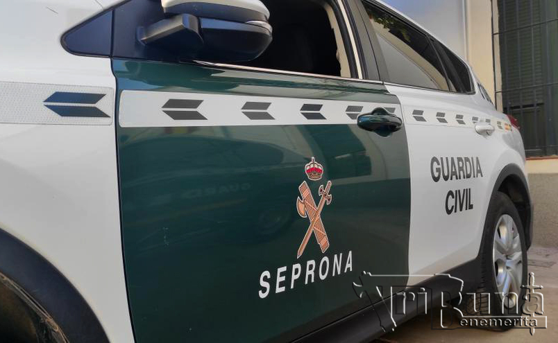 seprona guardia civil recurso marca de agua