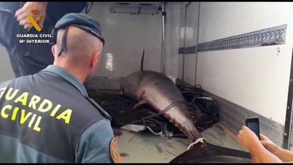 seprona huelva atun rojo