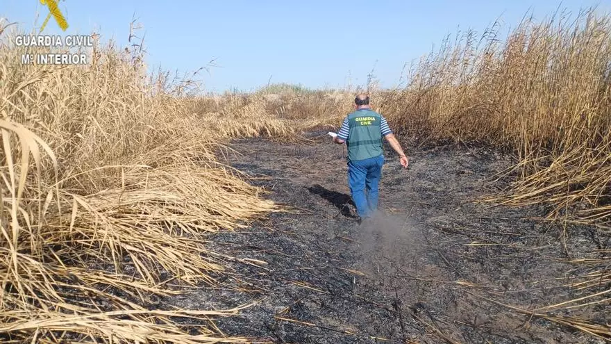 seprona incendio