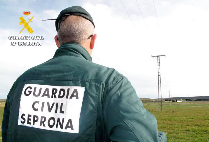 seprona recurso investigacion