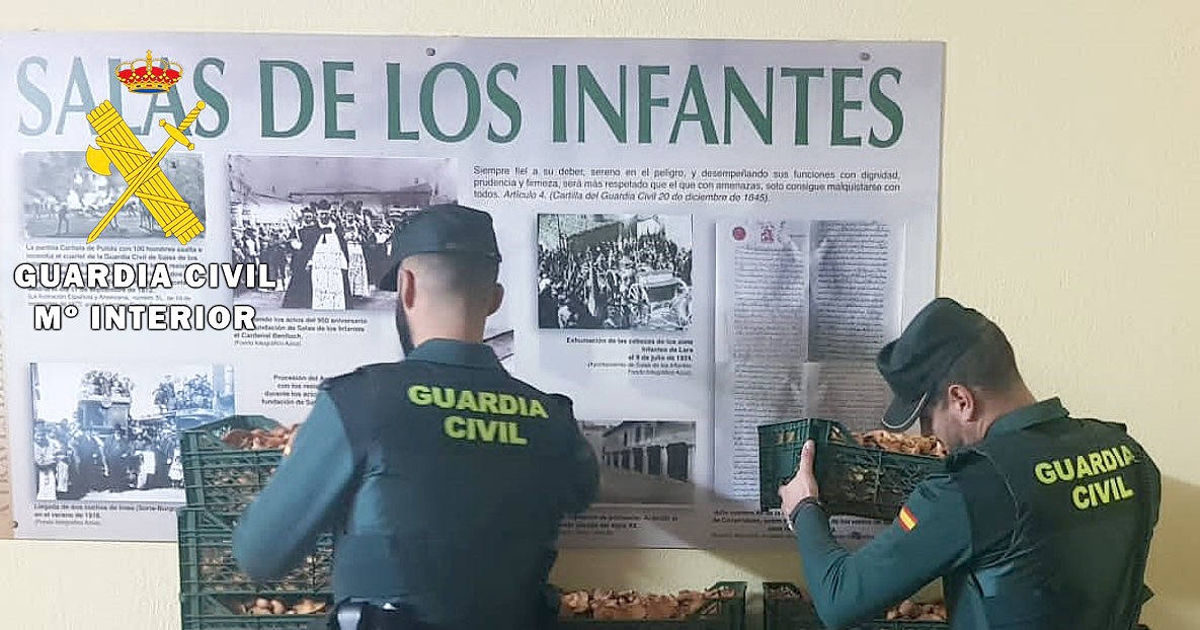 setas burgos