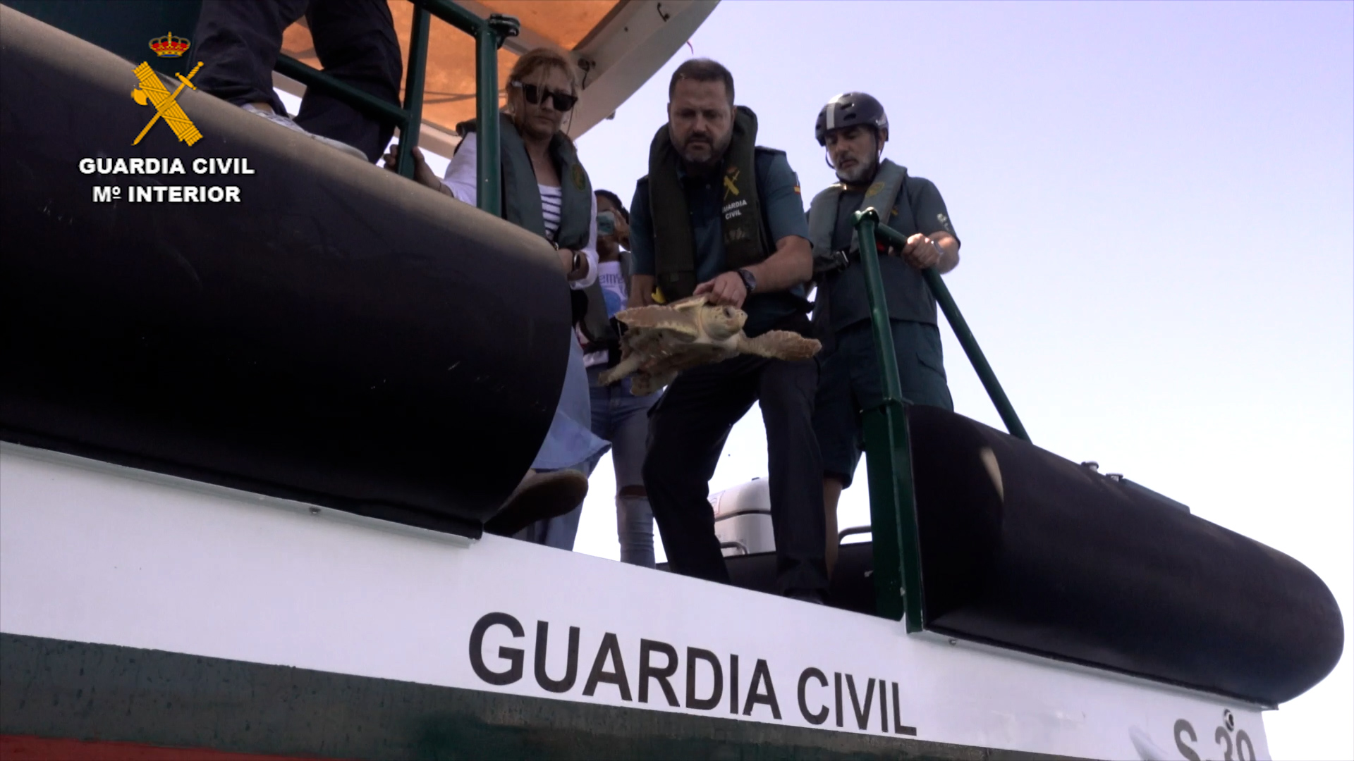 suelta tortugas almeria