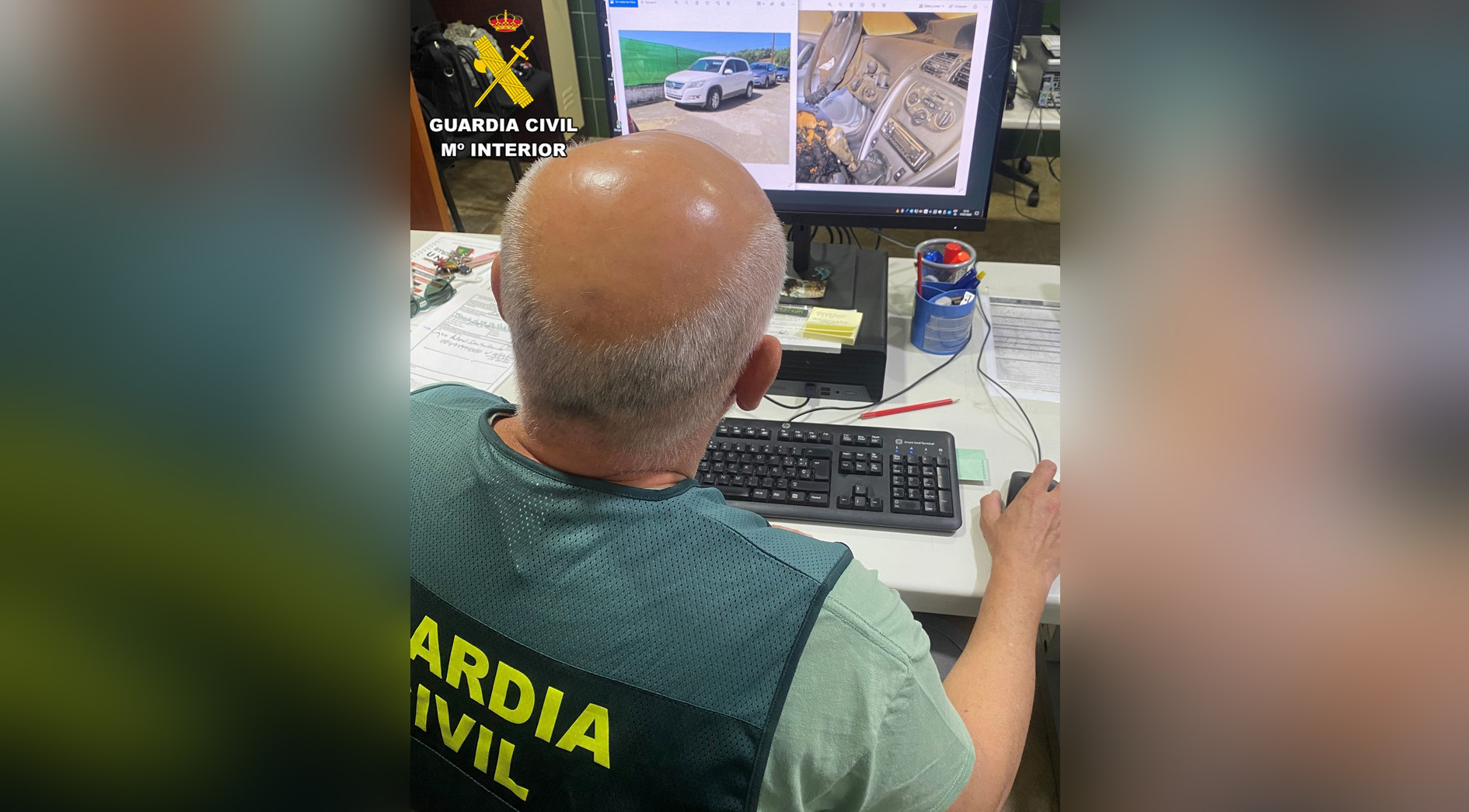 sustracion robo y danos vehiculos