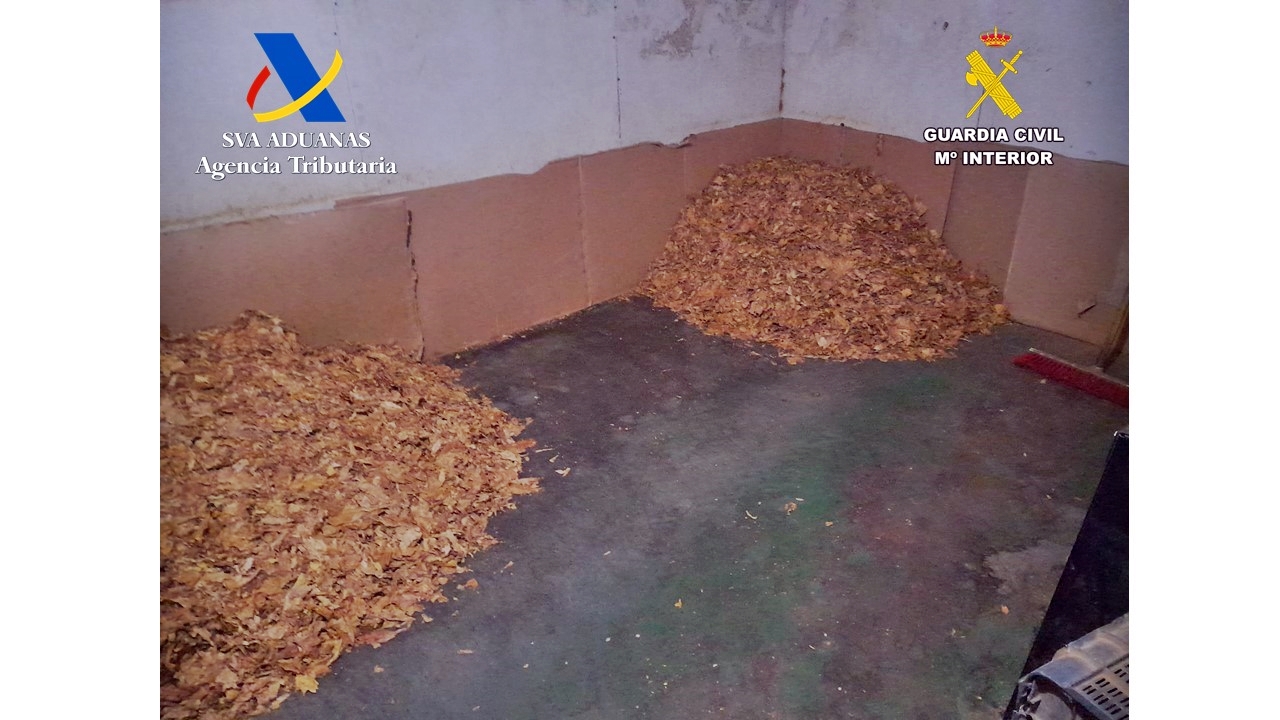 tabaco 2