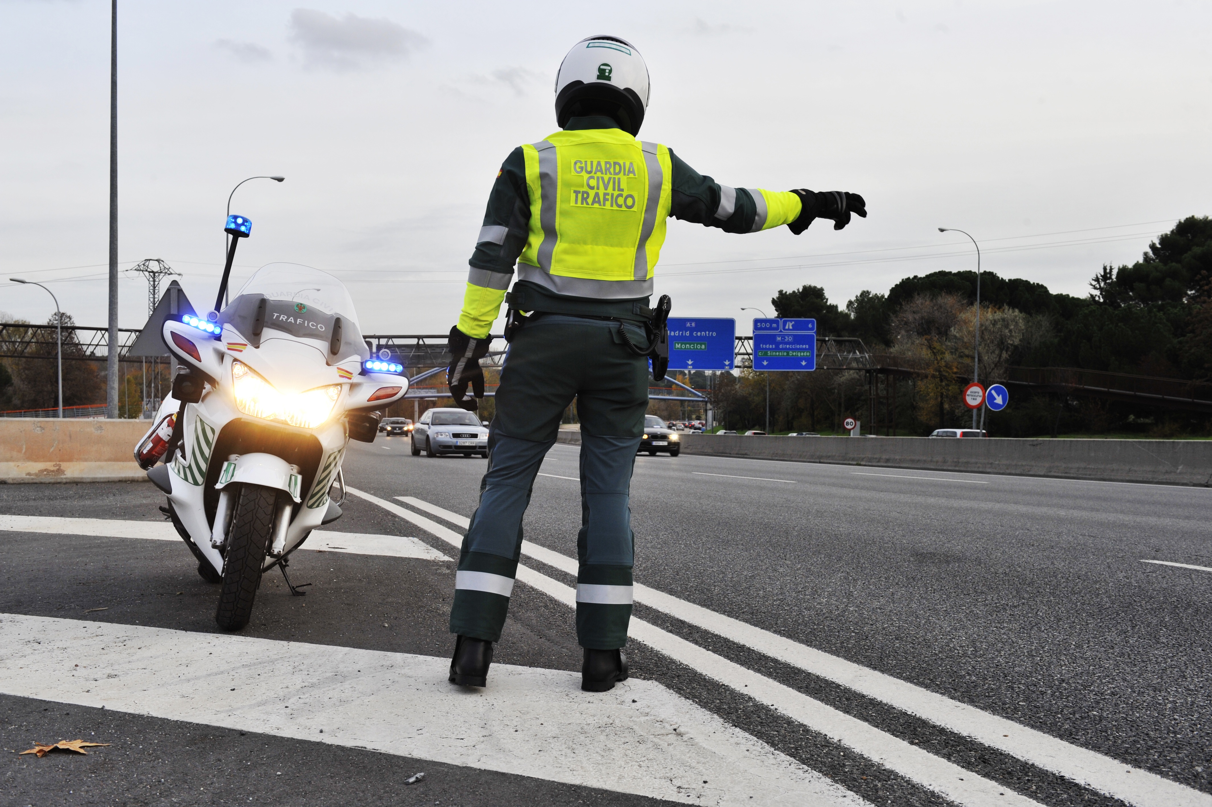 trafico motorista