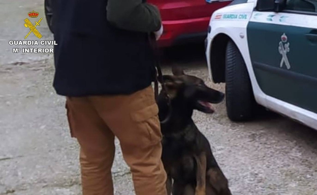 unidad canina 