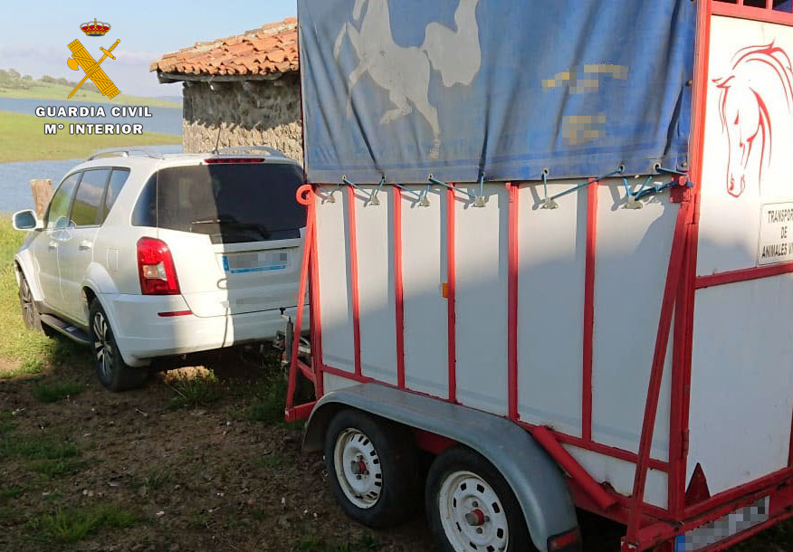 vehiculo caballo