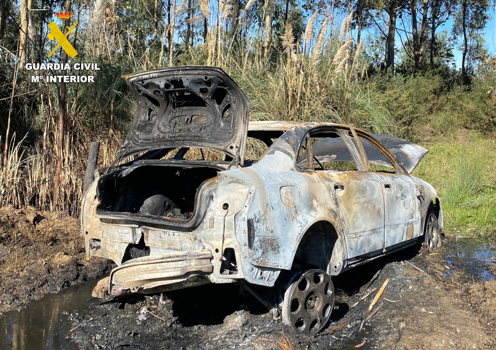 vehiculo calcinado