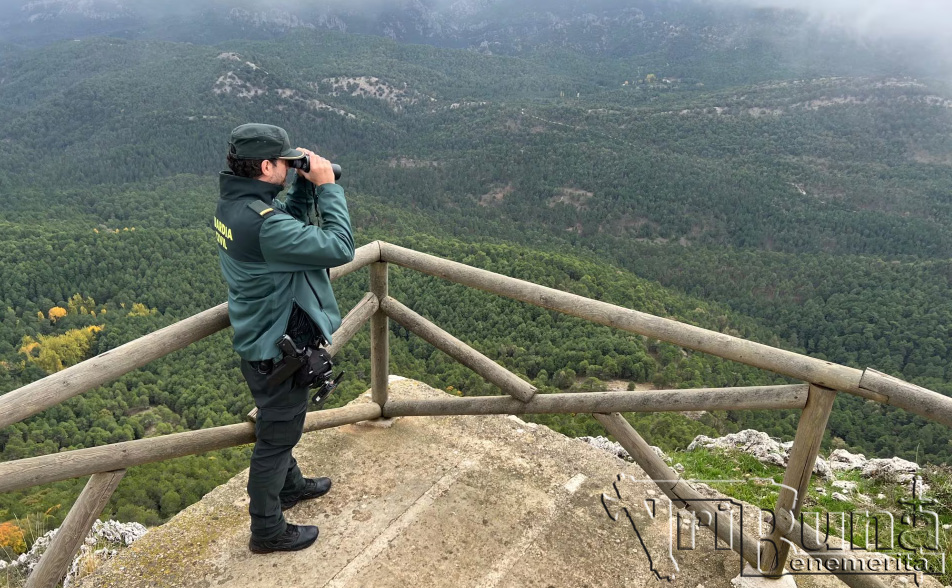 vigilancia seguridad ciudadana marca agua