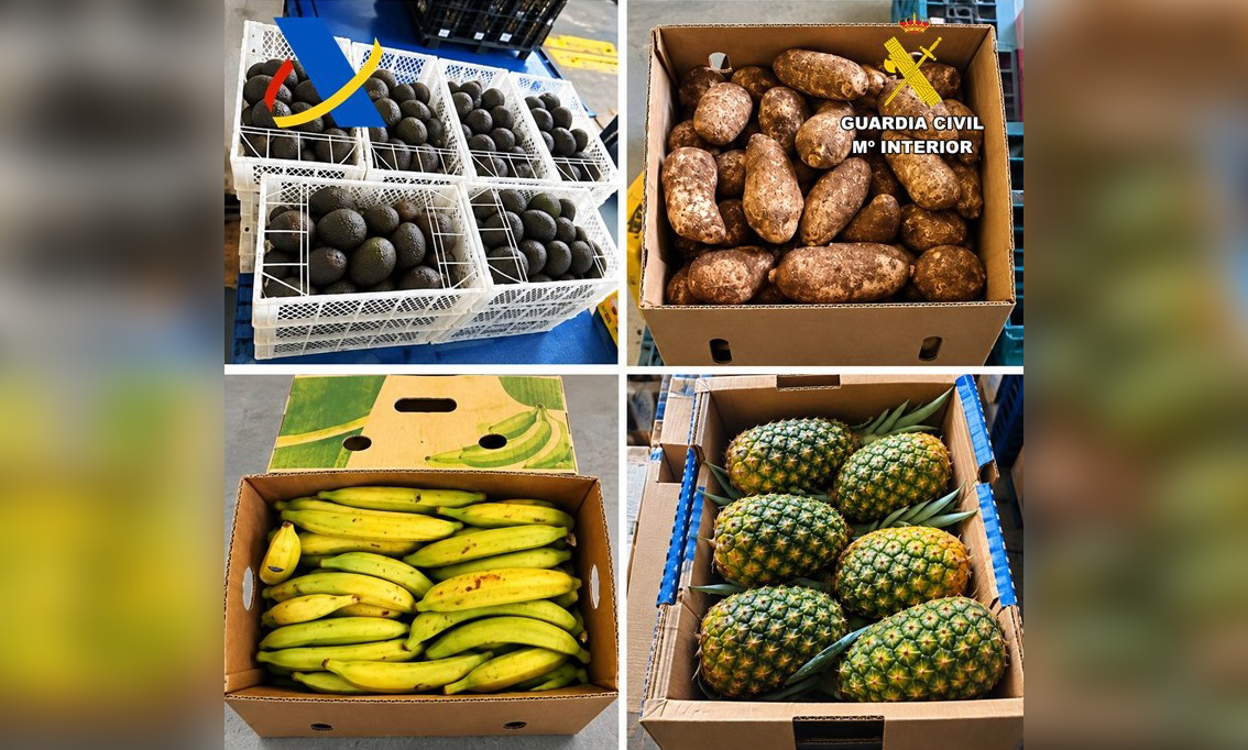 FRUTA INTERVENIDA NP 20 OCTUBRE