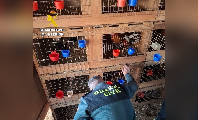 Foto 1 seprona alzira