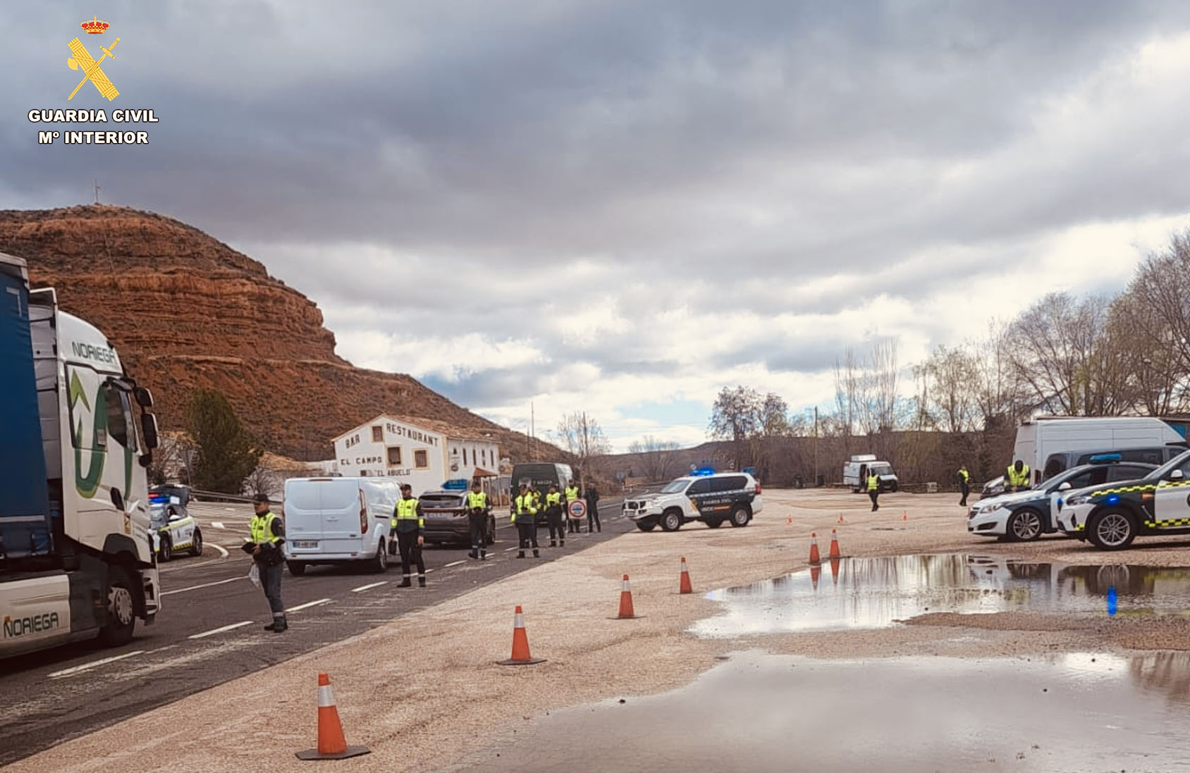 PERMISO CONDUCIR FALSO