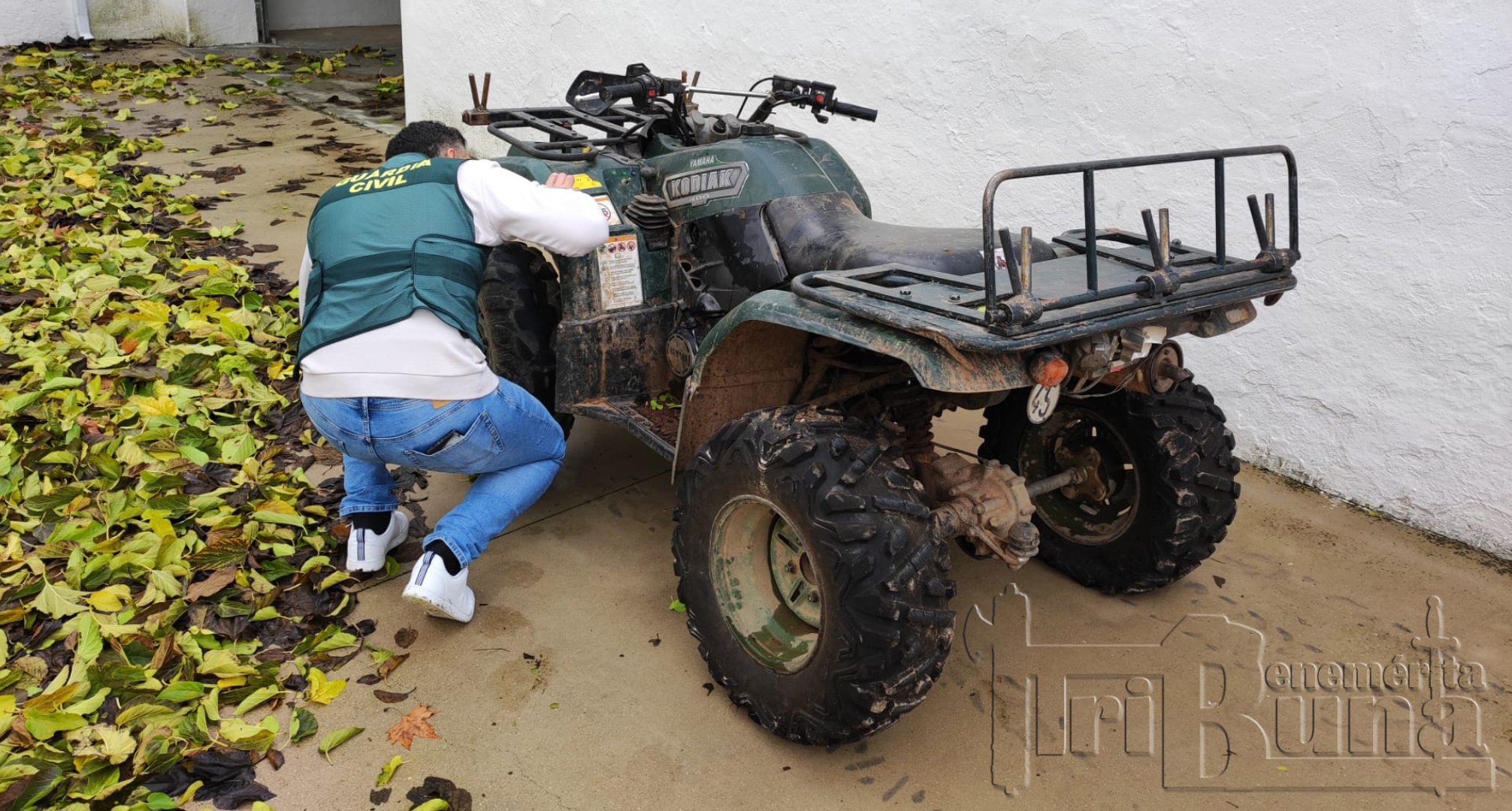 QUAD ROCA BEAS