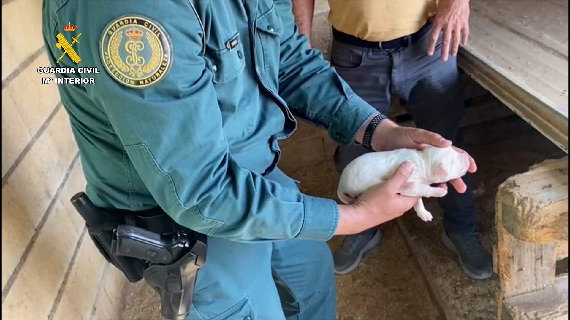 RESCATE CACHORRO 03