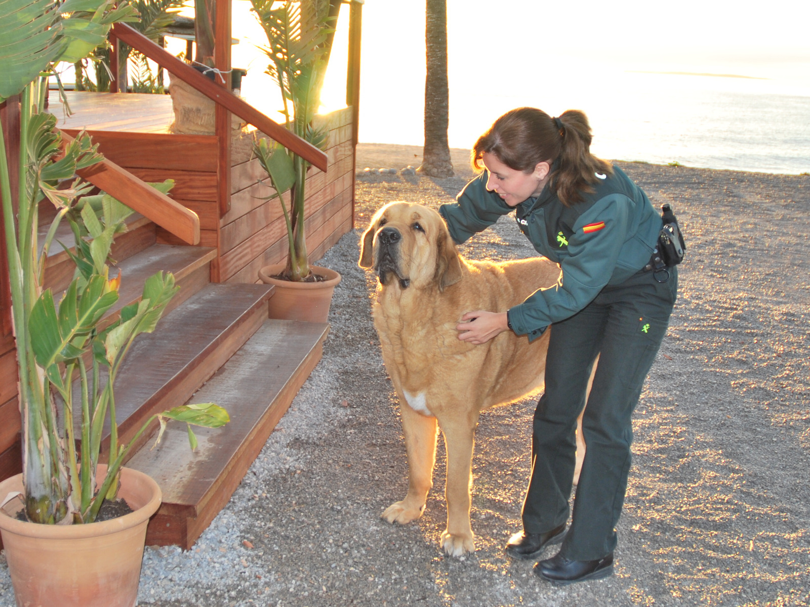 WhatsApp Image 2024 01 25 at 19.04.03