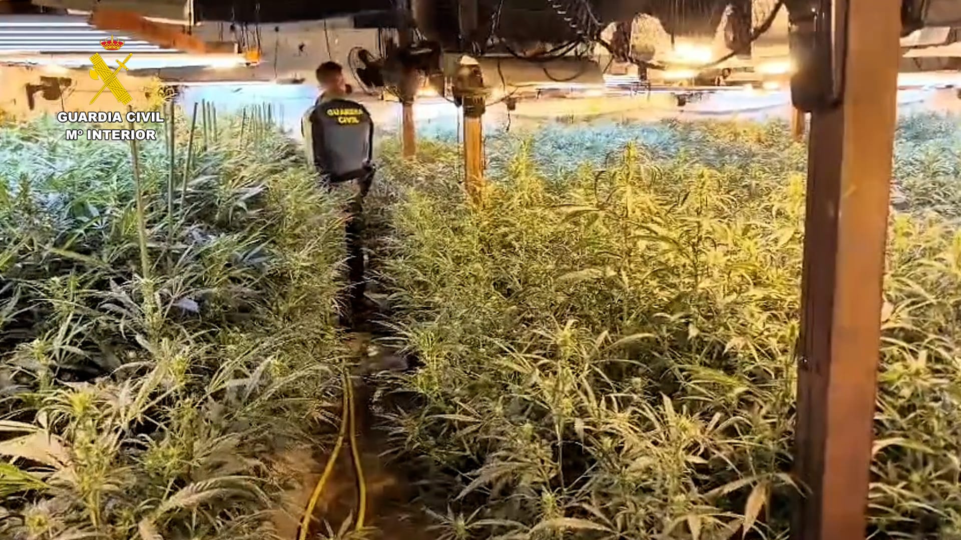 WhatsApp Image 2026 04 29 at 13.11.28